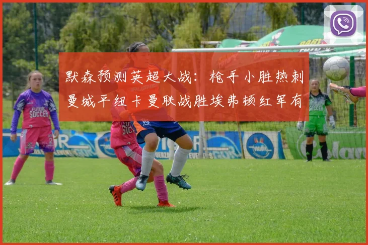 默森预测英超大战：枪手小胜热刺曼城平纽卡曼联战胜埃弗顿红军有望取胜
