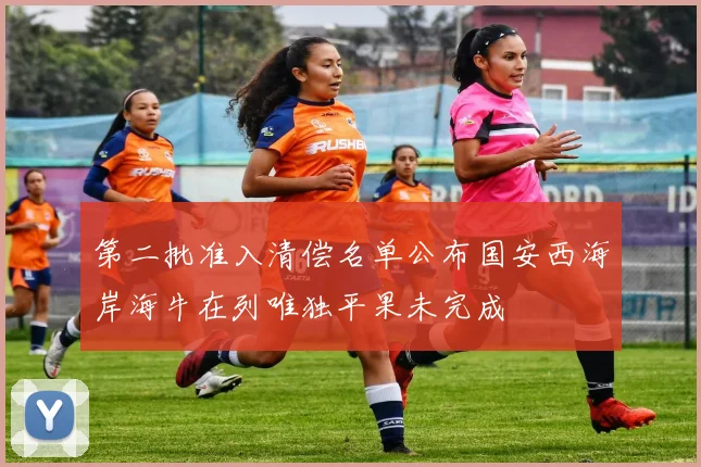 第二批准入清偿名单公布国安西海岸海牛在列唯独平果未完成